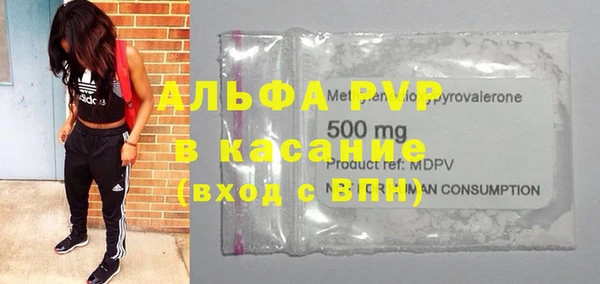 молекула духа Каменногорск