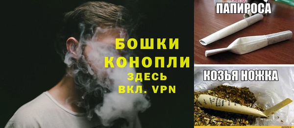 молекула духа Каменногорск