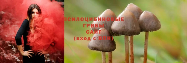 apvp Сясьстрой