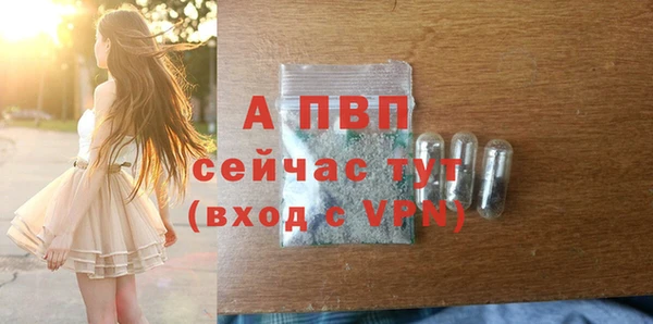 молекула духа Каменногорск