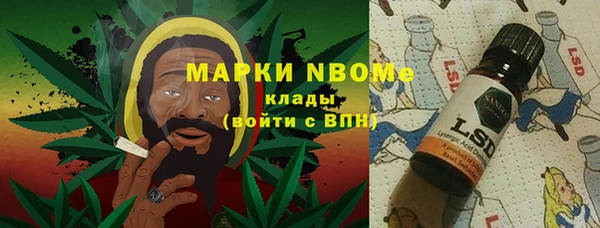 молекула духа Каменногорск
