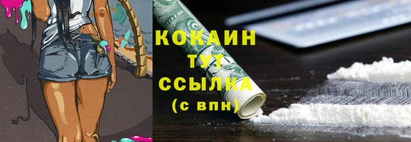 кокс Каменка