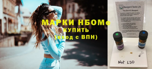 молекула духа Каменногорск